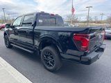 New 2025 Ford F150 XLT image 5