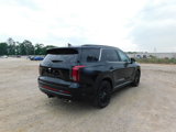 New 2025 Hyundai Palisade Calligraphy image 5