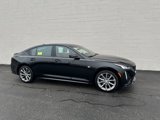 Used 2024 Cadillac CT5 Sport image 6