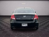 Used 2011 Honda Accord EX-L image 5