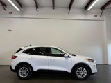 Used 2020 Ford Escape SE image 2