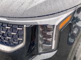 New 2025 Kia Carnival SX image 5