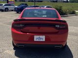 Used 2021 Dodge Charger SXT w/ Blacktop Package image 6
