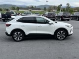 New 2025 Ford Escape Platinum w/ Premium Technology Package image 5