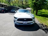 Used 2019 Ford Mustang Premium image 3