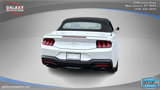 Used 2024 Ford Mustang Premium image 6