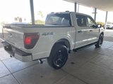 New 2025 Ford F150 STX w/ STX Black Appearance Package image 5