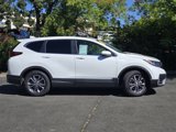 Certified 2022 Honda CR-V EX-L image 3