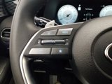 New 2025 Hyundai Palisade Calligraphy image 5