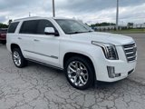 Used 2018 Cadillac Escalade Platinum image 3