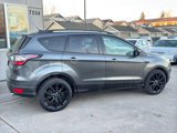 Used 2017 Ford Escape SE w/ SE Sport Appearance Package image 6