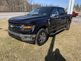 New 2025 Ford F150 XLT w/ Equipment Group 302A MID image 3
