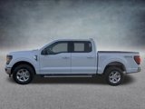 New 2025 Ford F150 XLT w/ Equipment Group 301A Standard image 4