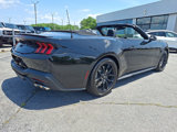 New 2025 Ford Mustang GT Premium image 4