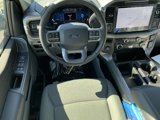 New 2025 Ford F150 XLT w/ Equipment Group 302A MID image 4