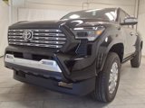 New 2025 Toyota Tacoma Limited image 3