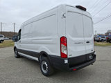 New 2025 Ford Transit 250 148 Medium Roof w/ Load Area Protection Package image 5
