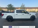 New 2025 Ford F150 STX w/ STX Black Appearance Package image 4