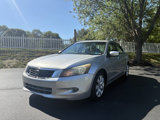 Used 2010 Honda Accord EX-L image 2