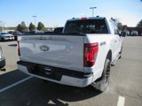 New 2025 Ford F150 XLT w/ Equipment Group 302A MID image 4