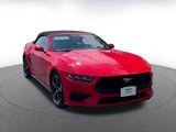 Used 2024 Ford Mustang Premium image 3