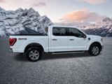 Certified 2022 Ford F150 XLT w/ Equipment Group 302A High image 5