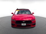 Used 2024 Ford Mustang Premium image 4