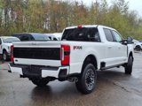 New 2025 Ford F250 Platinum image 4