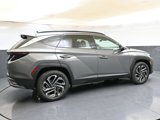 New 2025 Hyundai Tucson Limited image 6