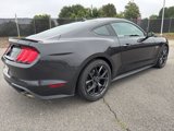 Used 2023 Ford Mustang Premium w/ 2.3L High Performance Package image 3