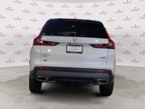 New 2025 Honda CR-V Sport image 4