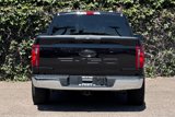 New 2025 Ford F150 XL w/ Equipment Group 103A High image 6