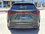 Used 2025 Lexus NX 350h AWD w/ Premium Package image 4