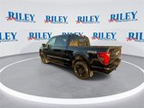 New 2025 Ford F150 XLT w/ Equipment Group 302A MID image 6