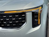 New 2025 Kia Carnival SX image 6