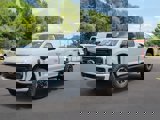 New 2025 Ford F250 Platinum w/ Tremor Off-Road Package image 2