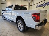 New 2025 Ford F150 XLT w/ Equipment Group 302A MID image 3