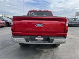 New 2025 Ford F150 XLT w/ Equipment Group 302A MID image 6
