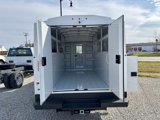 New 2025 Ford E-350 and Econoline 350 Super Duty w/ Power Equipment Group image 3