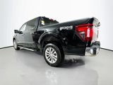 New 2025 Ford F150 XLT image 4