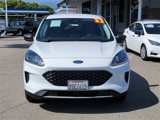 Used 2022 Ford Escape SE w/ Convenience Package image 2