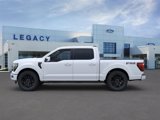 New 2025 Ford F150 Platinum image 3
