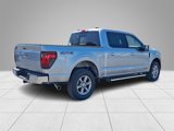 New 2025 Ford F150 XLT w/ Equipment Group 302A MID image 3