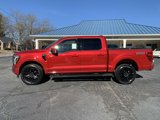 New 2025 Ford F150 Lariat w/ Equipment Group 502A High image 2