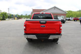 Used 2019 Ford F150 XLT w/ Equipment Group 302A Luxury image 4