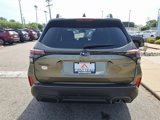 New 2025 Subaru Forester Limited image 5