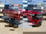 New 2025 Ford F150 XLT w/ Equipment Group 302A MID image 3