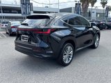 Used 2025 Lexus NX 350h AWD w/ Premium Package image 5