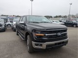New 2025 Ford F150 XLT w/ Equipment Group 303A High image 3