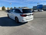 New 2025 Honda Odyssey Elite image 5